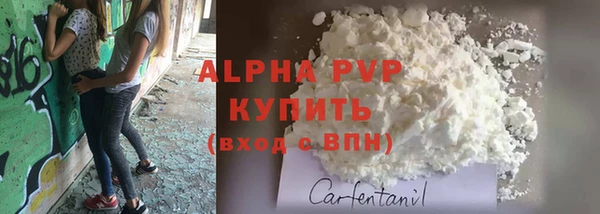 спиды Горняк