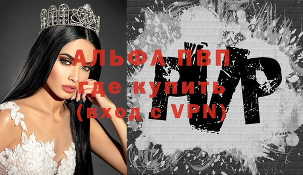 спиды Горняк