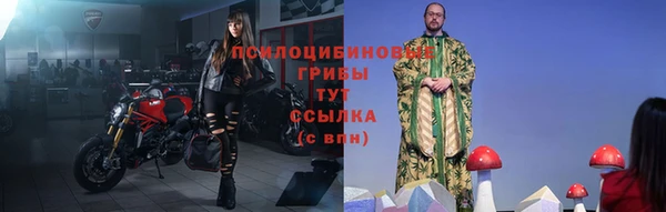 СК Горнозаводск