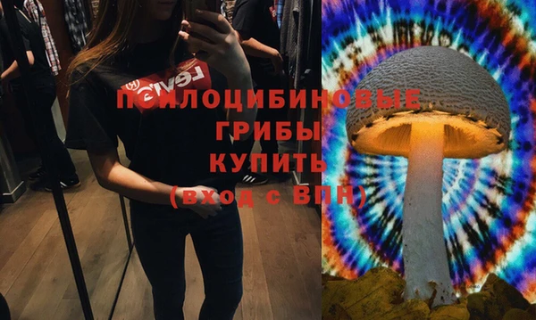 спиды Горняк