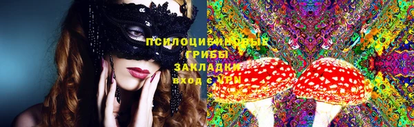 СК Горнозаводск