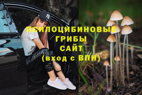 ешки Горно-Алтайск