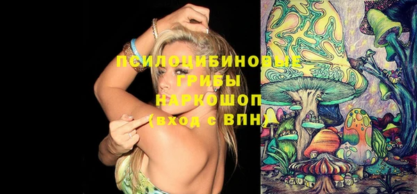 спиды Горняк