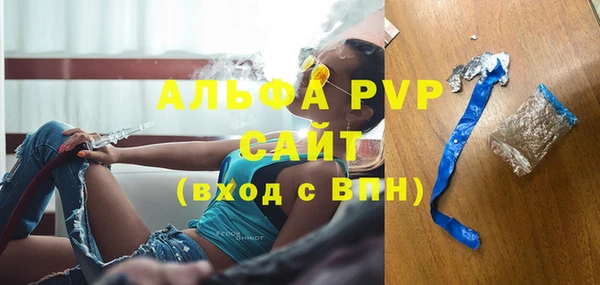 спиды Горняк
