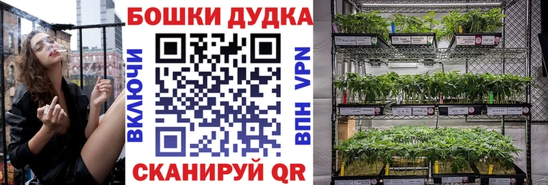 Купить где  Лаишево  Шишки марихуана THC 21% 